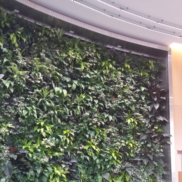 Stainless Steel "Bio Wall"